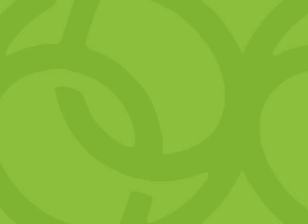 TechWireGroup is the leader of the Russian market TechWireGroup is the leader of the Russian market
